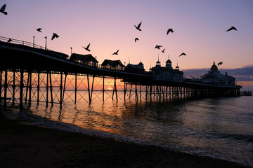 Fototapeta na wymiar Golden Sunrise over the sea with clear skies and a silhouette of seagulls flying over a pier