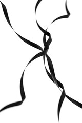 A curled black paper ribbons. Abstract artistic patterns. Design concept. Ready solutions for interior design office. Macro lens close up shot 1:1. Monochrome image.