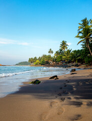 Tropic beach in the morning