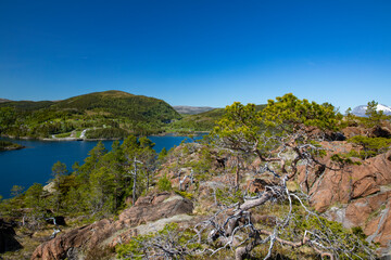 Fototapeta na wymiar Mountain hike in the summer heat to Raudbergan in Velfjord - With view,Helgeland,Nordland county,Norway,scandinavia,Europe