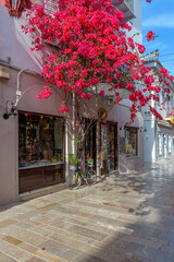 Fototapeta na wymiar Scenic view of cobbled street, facades of shops and a full blooming bougainvillea in the old town of Nafplio Argolis Greece.