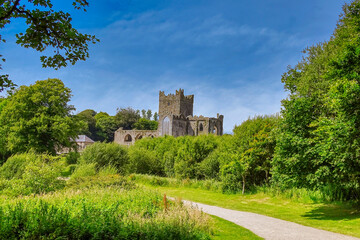 Fototapeta na wymiar Medieval Abbey surrounded by greenery