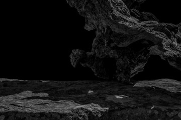 An Old Tree Root Placed on a Rock Display Shelf, Showing Detail to the Stone Surface and a Shadow...