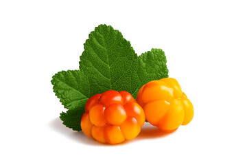 Two cloudberries with a leaf isolated on a white background with clipping path with and without shadow