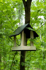 bird house on tree