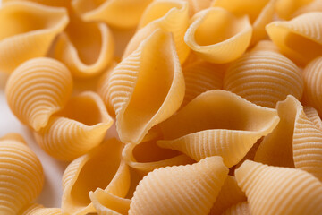 Conchiglie rigate, un classico formato di pasta italiana 