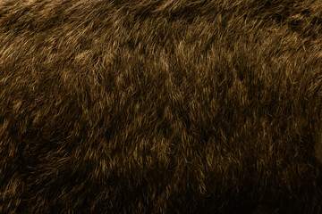 natural mammoth hide close-up, texture
