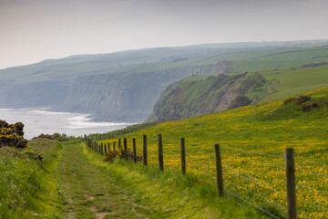Yorkshire Coastline near Whitby, UK