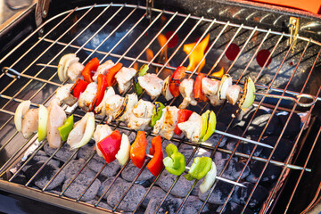Chicken Kebabs On the Barbecue