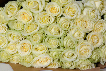 A large bouquet of white roses