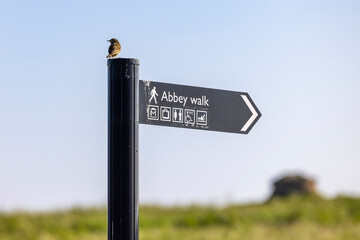 Whitby Abbey Sign Post in Whitby