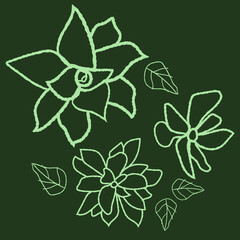Plant vector illustration on a dark green background