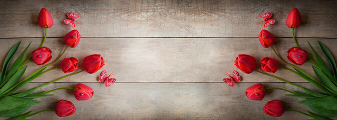 Tulips in a field of tulips. Bright tulips. Colorful tulip flower in the garden. Tulips on a wooden...