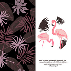Flamingo bird vector illustration. Tropic background with tropical leaves.	