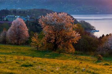 Fototapeta premium The April sunrise over Lake Solina seen from the viewpoint in Polańczyk. Polańczyk, Bieszczady