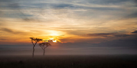 Obraz na płótnie Canvas Landscape at sunrise with mist over the plains, Masai Mara National Reserve, Kenya