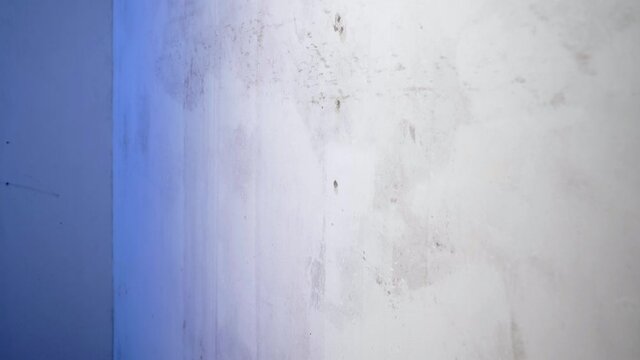 Girl worker priming the wall with a construction roller, preparing the surface for painting, home renovation concept