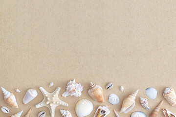Fototapeta na wymiar Seashells on beach sand. Top view with copy space. Flat lay.