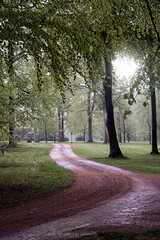 Fototapeta na wymiar Wet road in the park after the rain, surrounded by lush green trees. Sunshine is starting to come through the clouds on this summer day. Photo taken in Helsingborg, Sweden.
