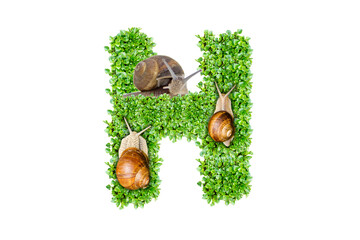 The letter H is made of grass and snails