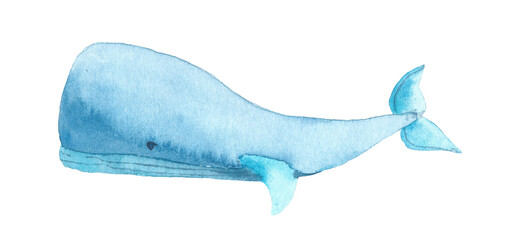 Watercolor blue Whale. Hand drawn illustration of big underwater mammal Animal. Isolated object on white background. Marine and ocean fauna - obrazy, fototapety, plakaty