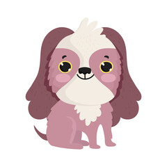 brown little dog