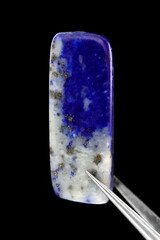 Lapis lazuli jewel stone texture in tweezers on black background. Macro closeup.