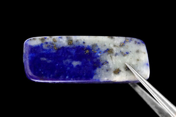Lapis lazuli jewel stone texture in tweezers on black background. Macro closeup.