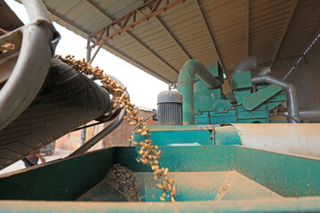 Peanut processing machinery in operation, North China