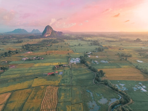 Morning view of Bukit Keteri, Perlis Malaysia with paddy field as landscape. 
