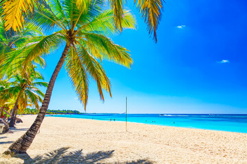 Tropical white sandy beach with palm trees. Saona Island, Dominican Republic. Vacation travel background.
