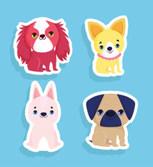 small dogs set