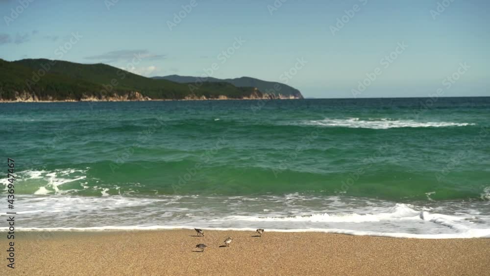 Poster beach and sea