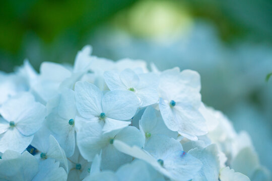 梅雨イメージ Images Browse 1 521 Stock Photos Vectors And Video Adobe Stock