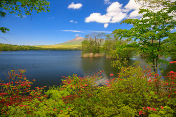 大沼国定公園ツツジ咲く大沼湖畔