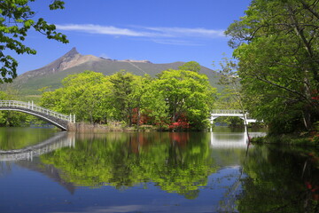 Fototapeta premium 大沼国定公園ツツジ咲く大沼湖畔