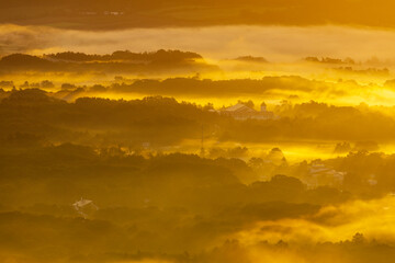大沼国定公園日暮山から俯瞰する朝霧の風景