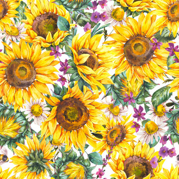 Watercolor sunflowers summer vintage seamless pattern. Natural yellow floral texture