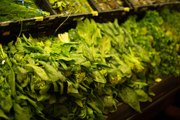 lechuga verde en super mercado lista para vender