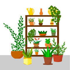 Rack with flowers - for the home garden. Green plants in pots for the home. Vector illustration. For use in flower shops, brochures, flyers, promotional illustrations, books and covers.