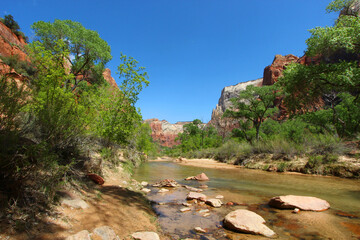 Virgin river flowing between the mountains at Zion national Park, Utah.
