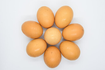 Circle of eggs