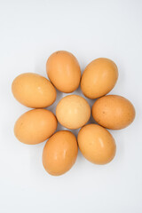 Circle of eggs