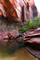 Emerald Pools hike in Zion National Park, Utah