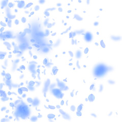 Dark blue flower petals falling down. Impressive r