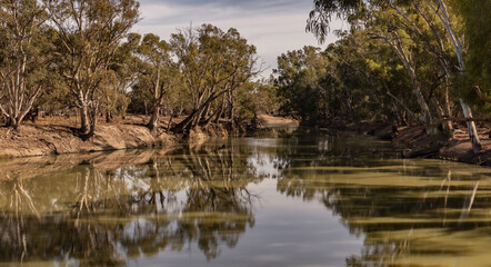 Fototapeta na wymiar Reflections in the Murrumbidgee River - Yanga National Park, Balranald, NSW
