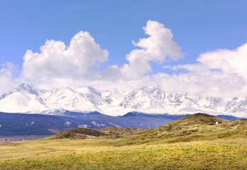 Kurai steppe in spring. Dry grass on the slopes, snow-capped peaks of the mountains of the Northern Chui range under a cloudy blue sky. Gorny Altai, Siberia, Russia