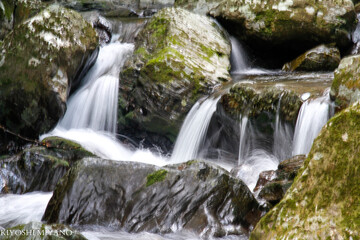 Fototapeta premium nature fall