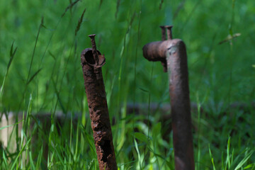 叢に放置された鉄パイプ