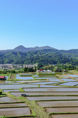 田植え　山形県　椹平の棚田